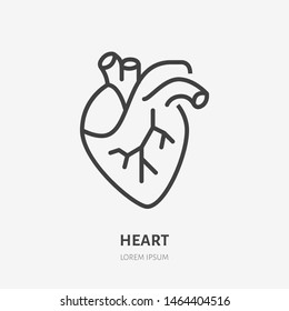 Cardiology Specialist
