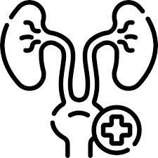 Urology Specialist